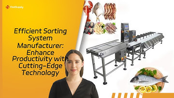 Efficient Sorting System Manufacturer: Enhance Productivity with Cutting-Edge Technology