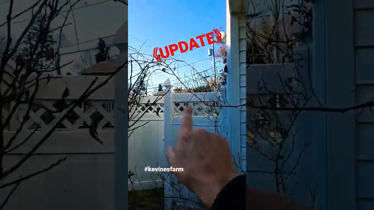 Neighbors Destroy Fence Post Stole  Grapevine! HELP! Criminal Tresspass Theft