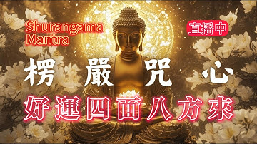只有即將轉運的人才能聽見的佛咒 「楞嚴咒心 」（注意⚠️：感應超強，100%靈驗）光聽就能清業力，好運四面八方來，趕走負能量霉運，退散一切煩惱，超強淨化空間磁場 髒東西，能量音樂 佛樂