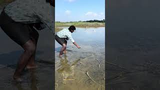Dont play with snake🐍 #fishingislife #fishing #youtubefishing #nature