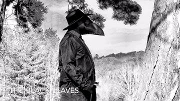 The Black Leaves - DESPOT