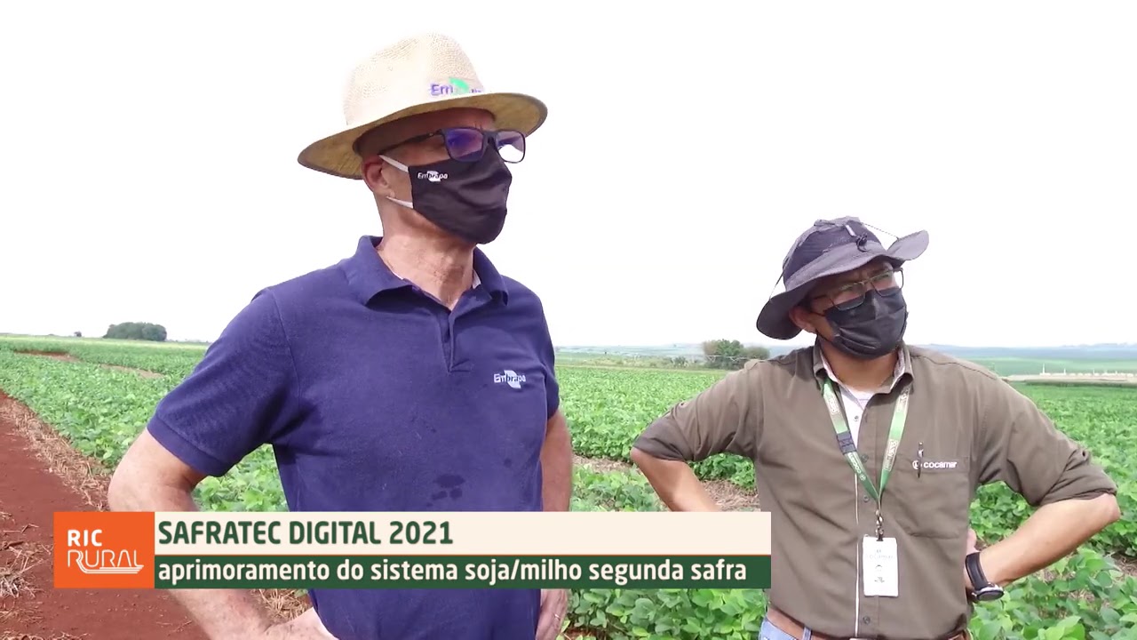 Aprimoramento do sistema soja-milho | SAFRATEC 2021