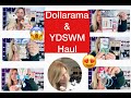 Dollarama and Your Dollar Store with More Haul // Exciting Finds