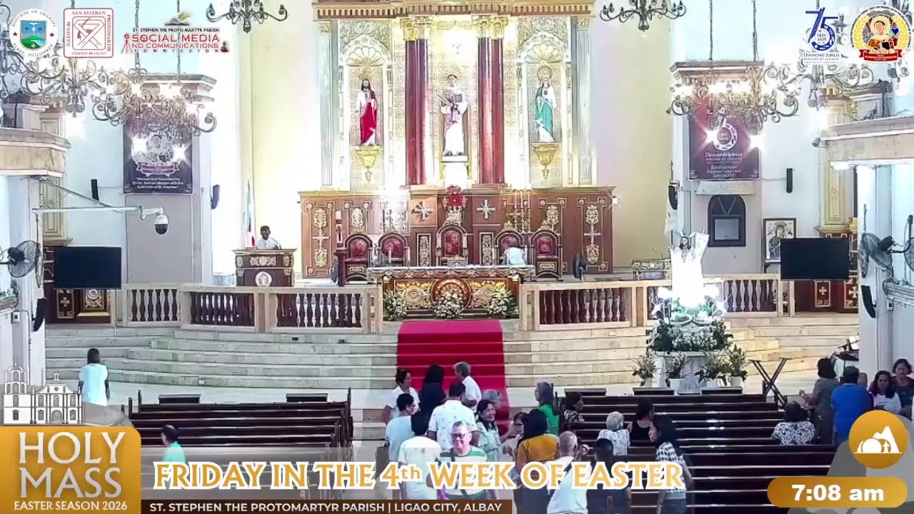 LIVE | The Wedding of Ryan & Honey
