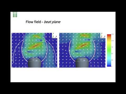 Video: Hydrodynamics siv qhov twg?