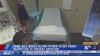 Tennessee bill would allow a father to seek court injunction to prevent an abortion