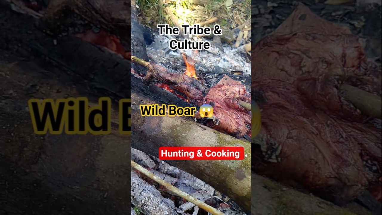 Wild Boar Roast In Jungle 