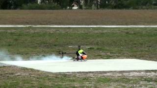 RC Heli flight day SeaHawk Park 20100328.mov