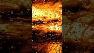 tangerine 🍊 pt 3 - 2026 - trap type Instrumental - (prod by iamvirtchu) #freetrapbeat #beats
