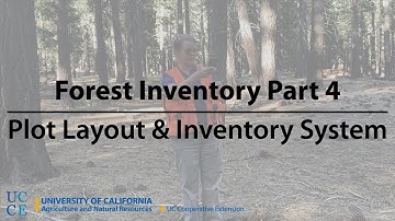 Forest Inventory Part 4: Plot Layout & Inventory System