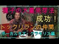 【種子の簡単発芽】簡単に種子の発芽をさせるにはこれが簡単です。