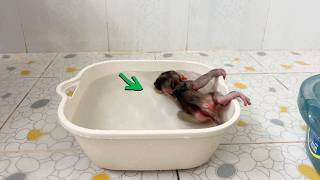Titas Get Choking In Water While Mom Busy Take His Shampoo