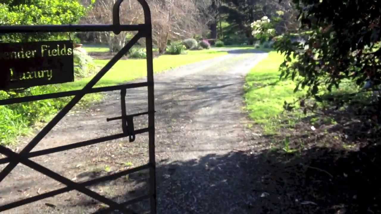 Lavender Fields Luxury - Adelaide Hills Country Cottages - Balhannah/Oakbank South Australia