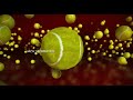 Cats & Dogs: The Revenge Of Kitty Galore (2010) Opening Titles 