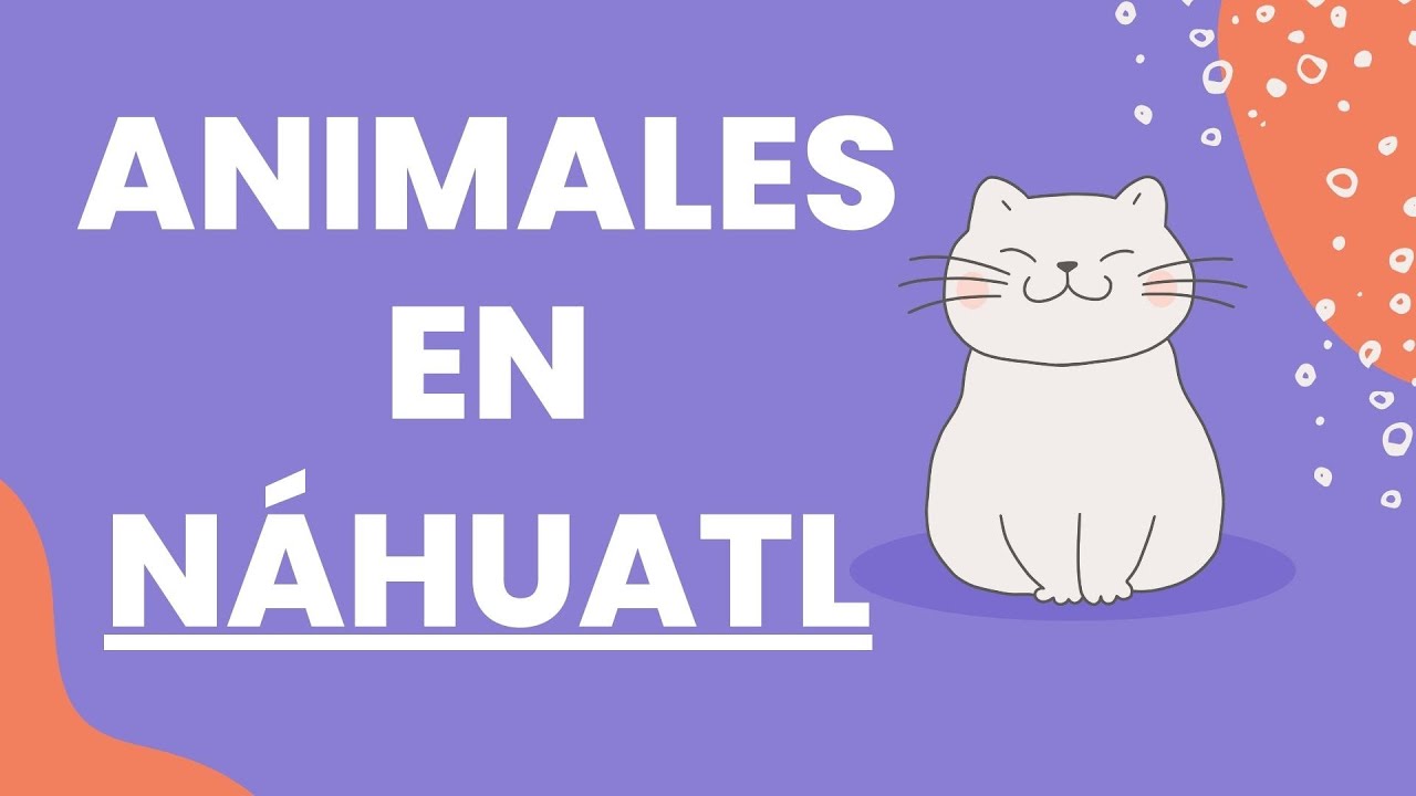 Aprende Los ANIMALES En N HUATL mexico nahuatl animals aprende-los-animales-en-n-huatl-mexico-nahuatl-animals