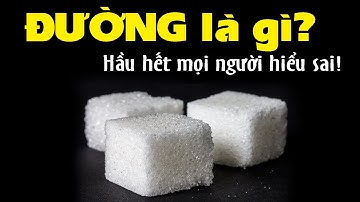 Giải thích hài hước dễ hiểu về... ĐƯỜNG | Không phải ai cũng biết