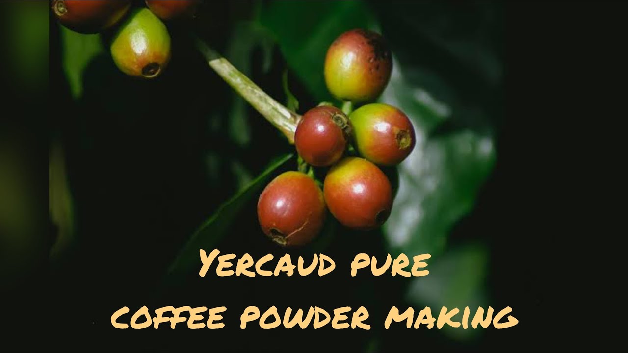 Yercaud Coffee Powder Making factory ☕️