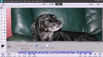 Adobe Photoshop Elements 12 Tutorial Edit Modes Employee Group Training  3.6