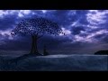 Buddha meditation music under the bodhi tree