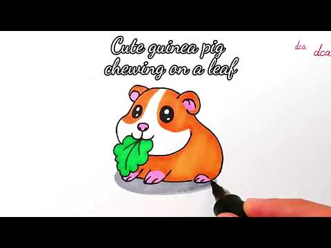 How to Draw