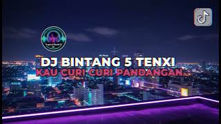 Download Lagu DJ BINTANG 5 TENXI   KAU CURI CURI PANDANGAN REMIX Elart Remix VIRAL TIKTOK TERBARU 2025 MP3