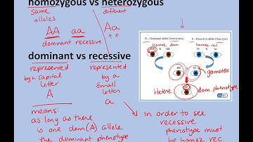 Common terms used in genetics