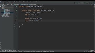 Java Basics #004: Java Numeric Data Types
