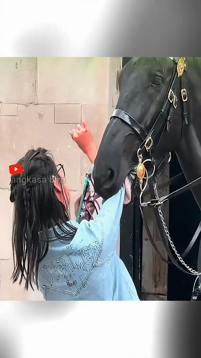 Horse Bites People? Here's Why! #AnimalFacts #HorseBite #viralshorts