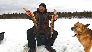 видео: Рыбалка на диком озере с двумя ночёвками. Или с одной... картинка: Рыбалка на диком озере с двумя ночёвками. Или с одной...