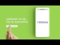 🌱Plante Premium pentru Casa si Gradina Ta | VERDENA.RO