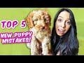 FIRST 24 HOURS WITH NEW PUPPY 👉 5 Common Mistakes to AVOID! 😱