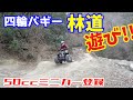 お山でひっそり大人の遊び☆四輪バギーで林道攻め♪　【ミニカー登録車両】