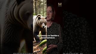 ГЛАВНОЕ ЗА МИНУТУ | 27.10 #камчатка #новости