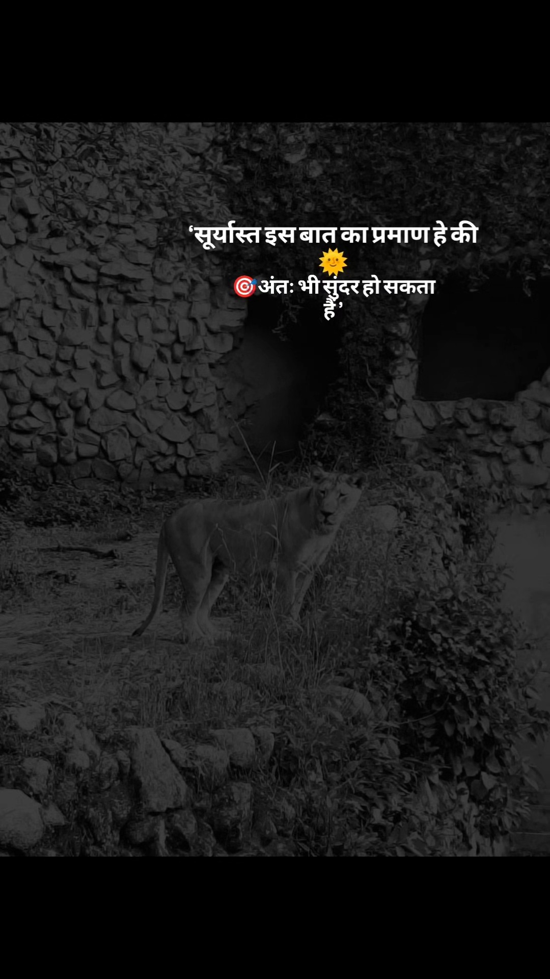 😎मोटिवेशनल गुरु🤘 - ShareChat