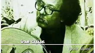 مصطفي سيد احمد  عينيك مدن