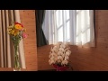 撮影テスト|HD 30p|