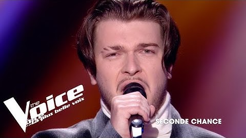 Johnny Hallyday - Je te promets - Mega | The Voice 2025 | Auditions à l'aveugle