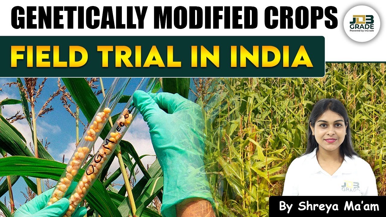 Genetically Modified Crops Explained | Benefits, Risks & Examples | GM Crops in India 2025