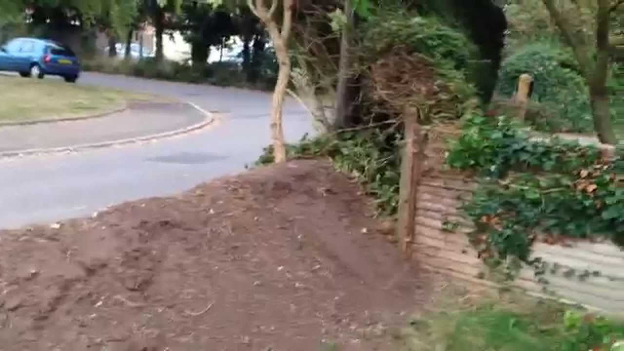 Lydeard, Taunton, Somerset. Hedge Removal, Garden Clearance and Waste Clearance. YouTube