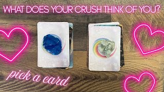 💕😍 What Does Your Crush Think of You? 🥰💕 tarot pick a card