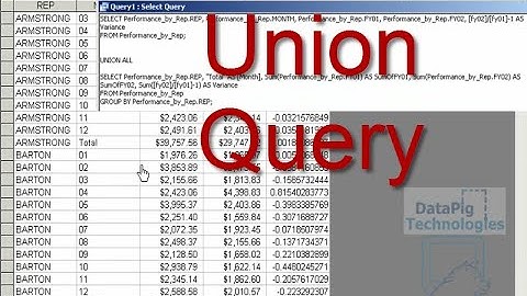 Step by step design of Union query to show both detail and summary data  ~ DataPig