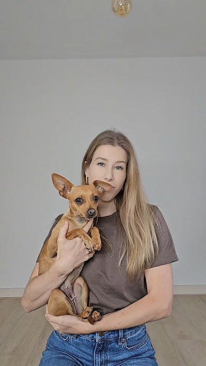 Dog love hits different 😌🐶🐾#DogVibes #CuteContent #ForYou #love #dogmoments
