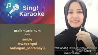 REBUTAN LANANG duet karaoke versi 2020