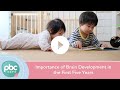 Importance of Brain Development in the First Five Years