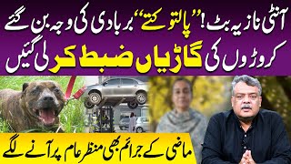 Aunty Nazia Case Palto Kutto Ka Scandal, Gariyan Zabt, Purane Maamlay Dobara Be-Niqab