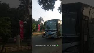 Download Lagu ULAR-ULAR BASURI EAGLE HIGH MENGULAR CUYY🐍😎 MP3 Download Lagu ULAR-ULAR BASURI EAGLE HIGH MENGULAR CUYY🐍😎 MP3