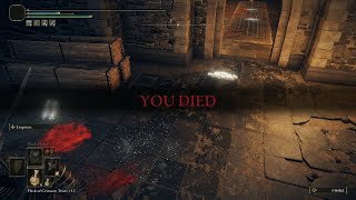 Elden Ring Shadow of the Erdtree part 3 - Fort of Reprimand NG3