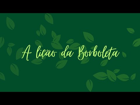 A LIÇÃO DA BORBOLETA - TEXTO REFLEXIVO - RESPEITO