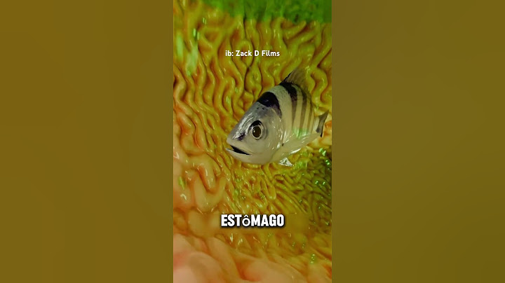 A FISH CAN SWIM IN YOUR STOMACH AND COME OUT ALIVE!?😱 #curiosities #impressive #curiosity