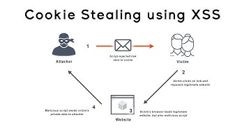 Steal Cookies using XSS Vulnerability